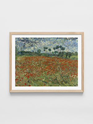 Vincent Van Gogh - Field of Poppies, Auvers-sur-Oise