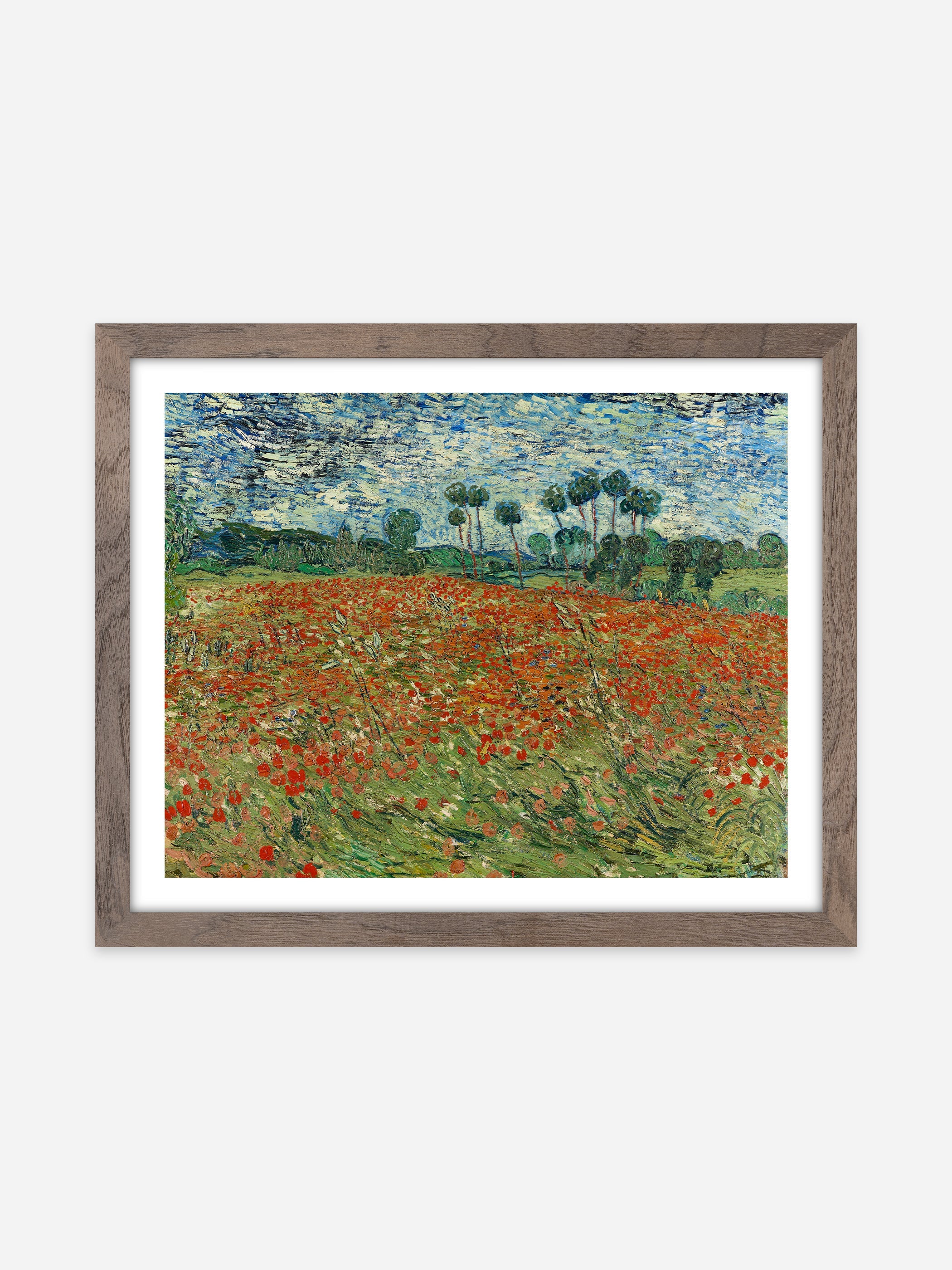 Vincent Van Gogh - Field of Poppies, Auvers-sur-Oise