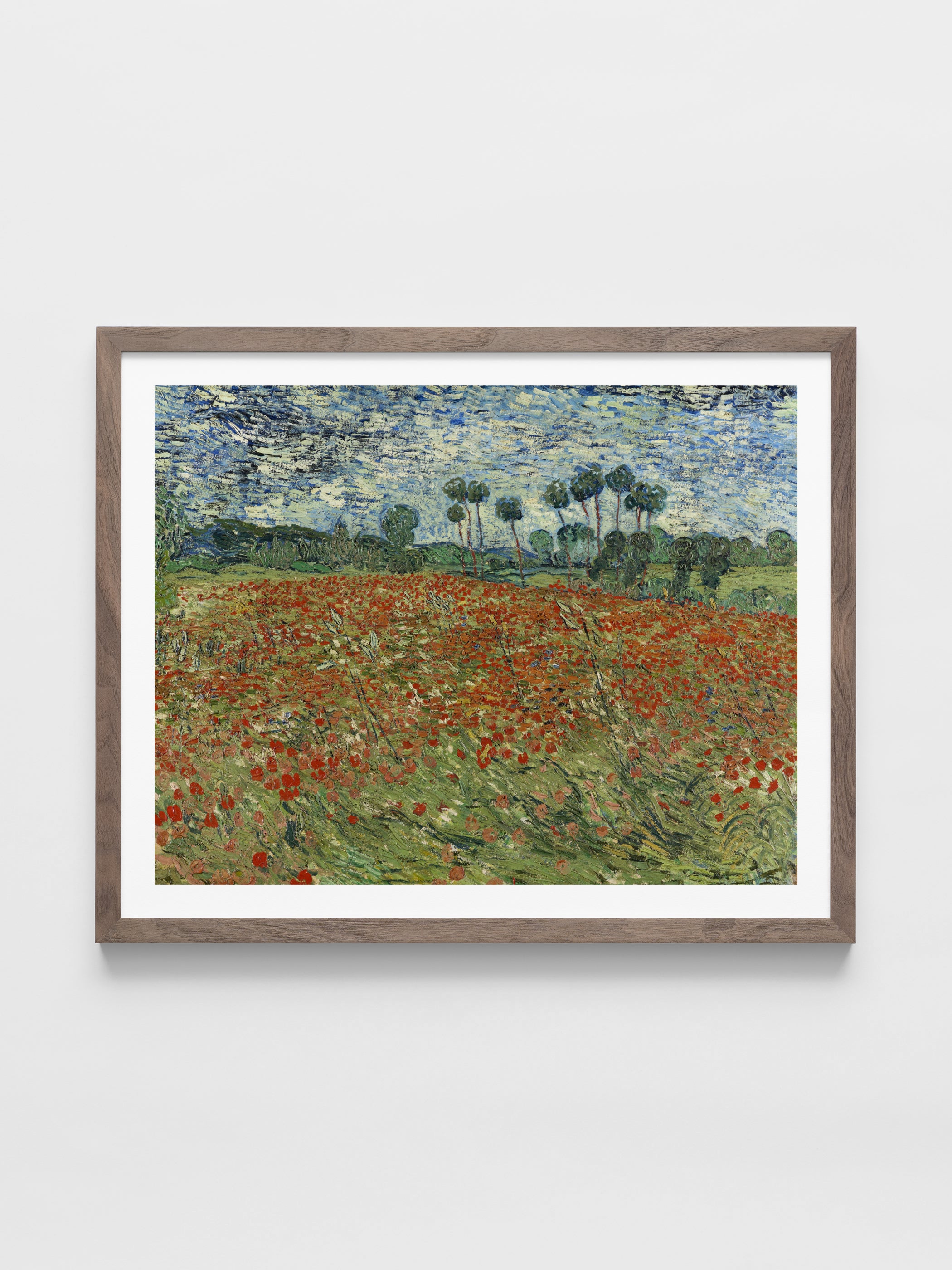 Vincent Van Gogh - Field of Poppies, Auvers-sur-Oise