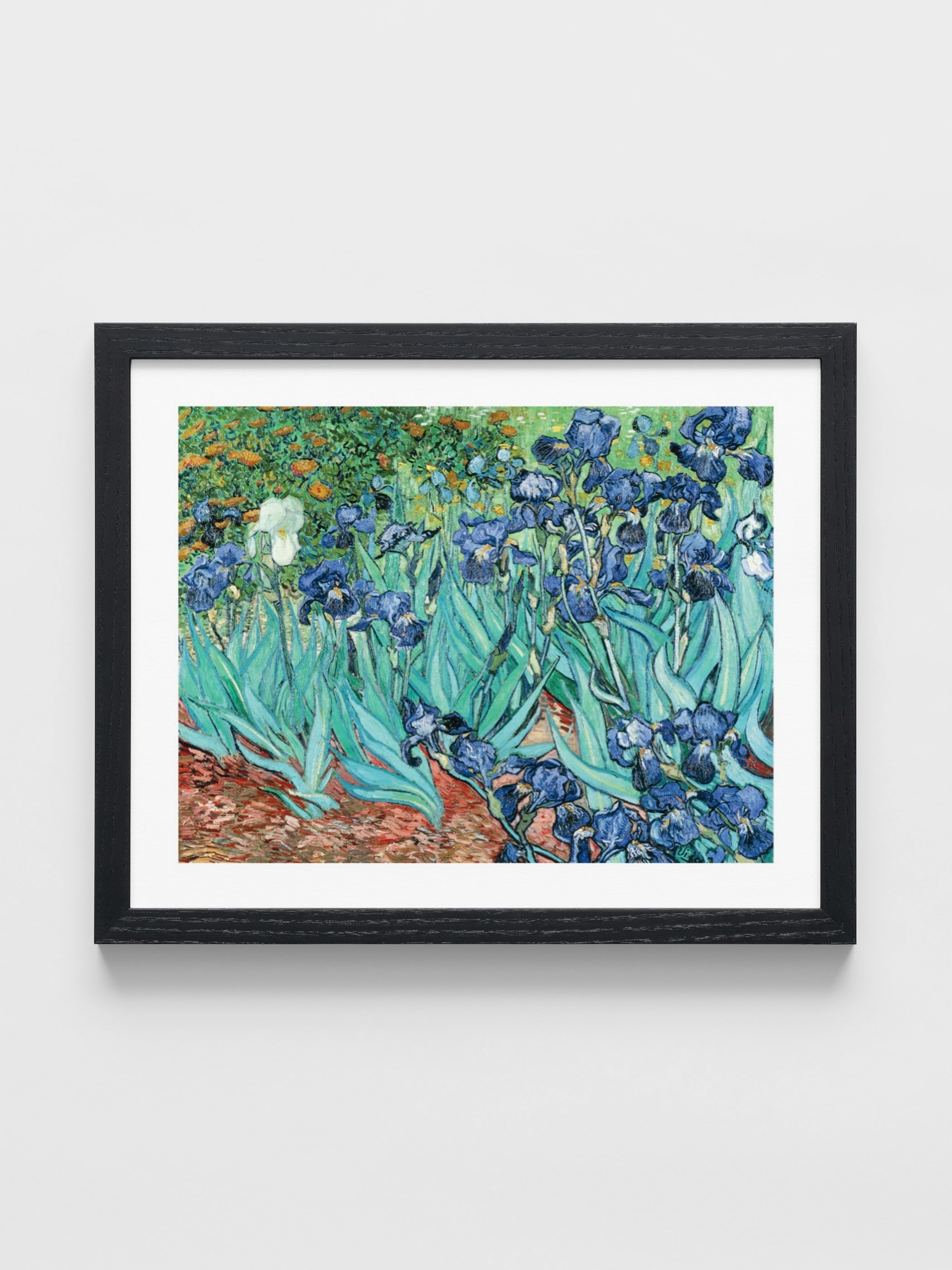 Vincent Van Gogh - Irises
