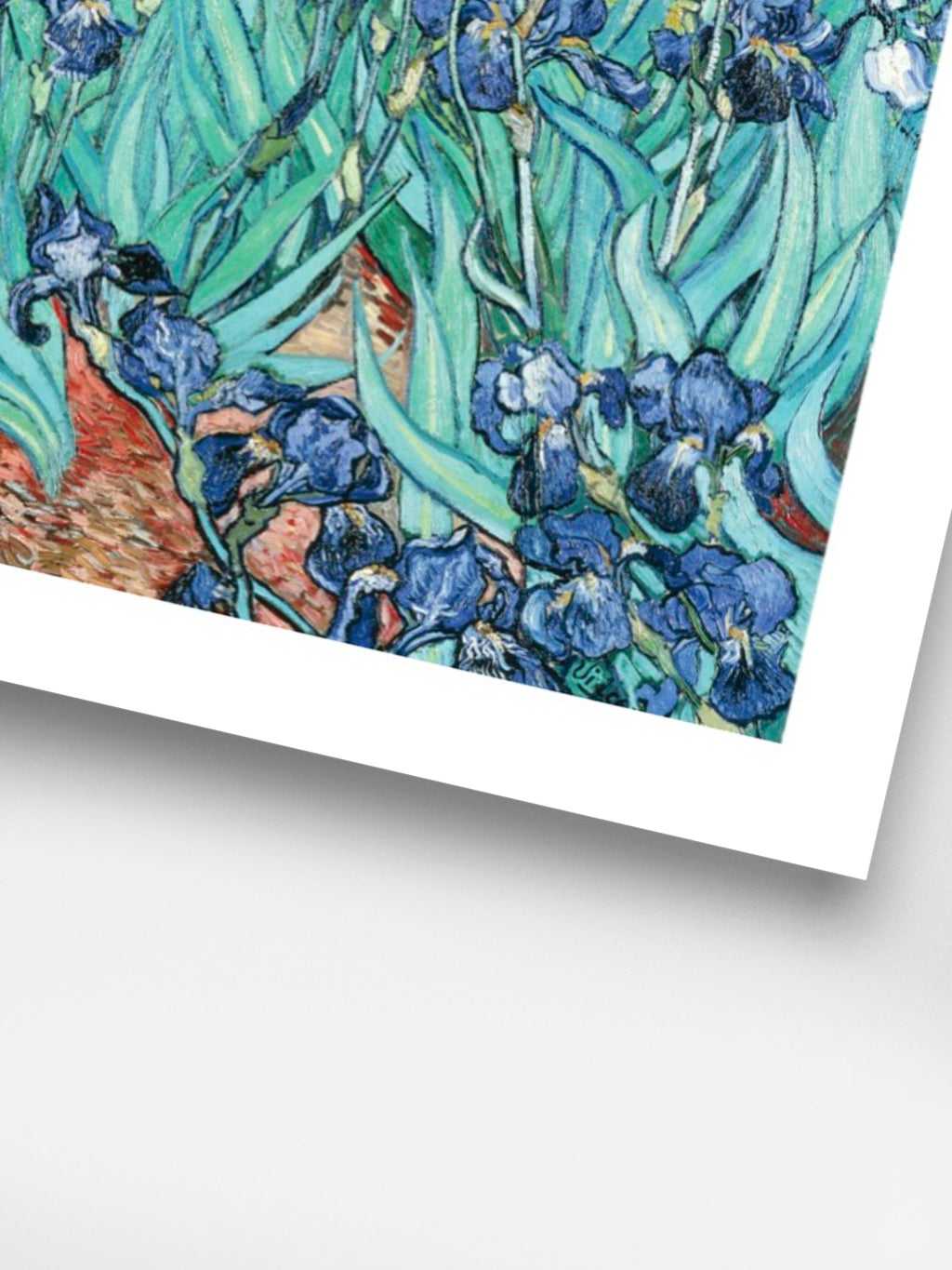 Vincent Van Gogh - Irises
