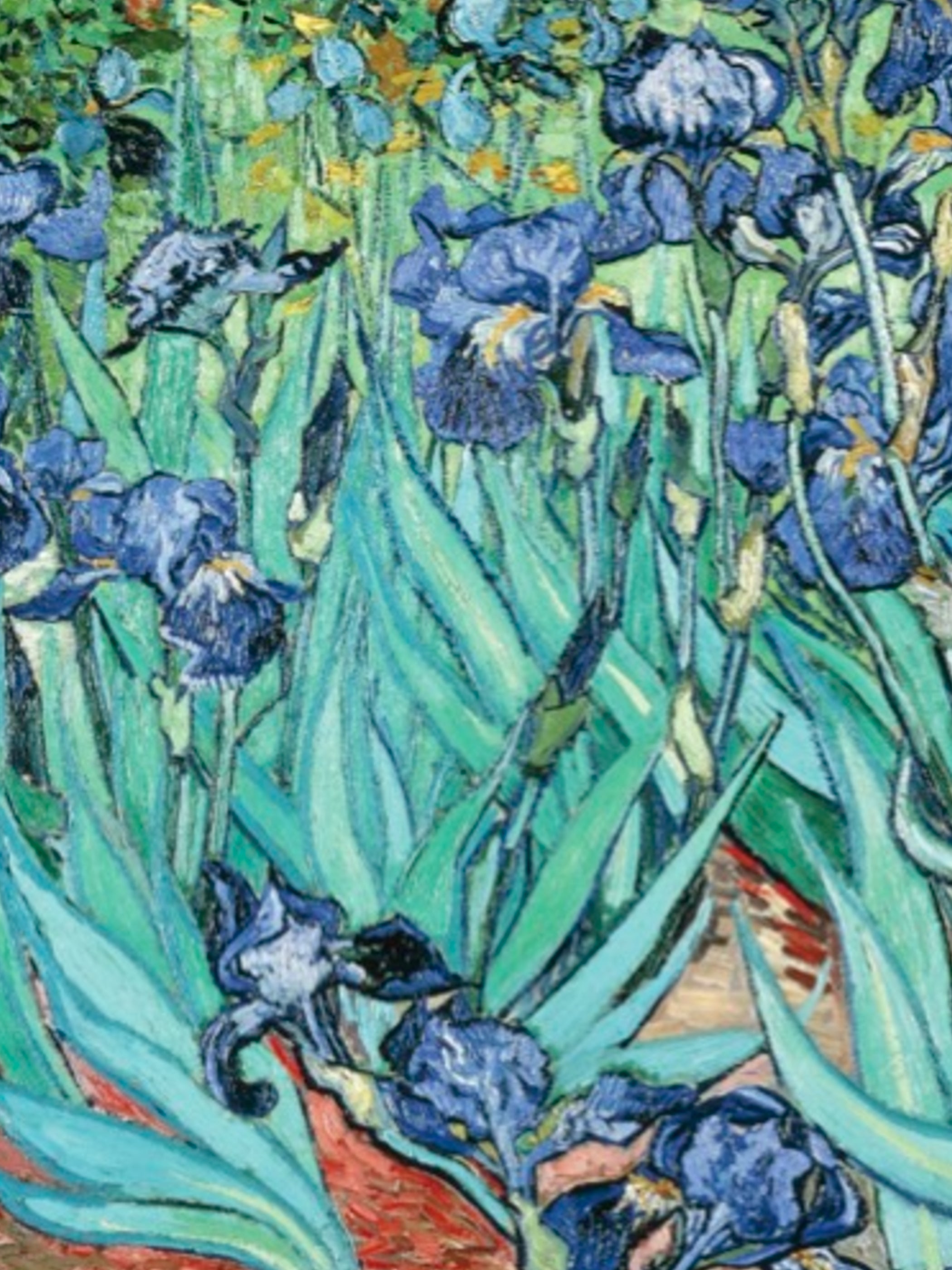Vincent Van Gogh - Irises