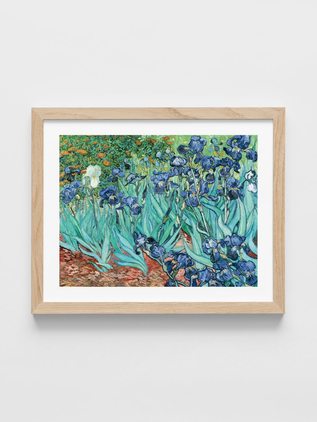 Vincent Van Gogh - Irises
