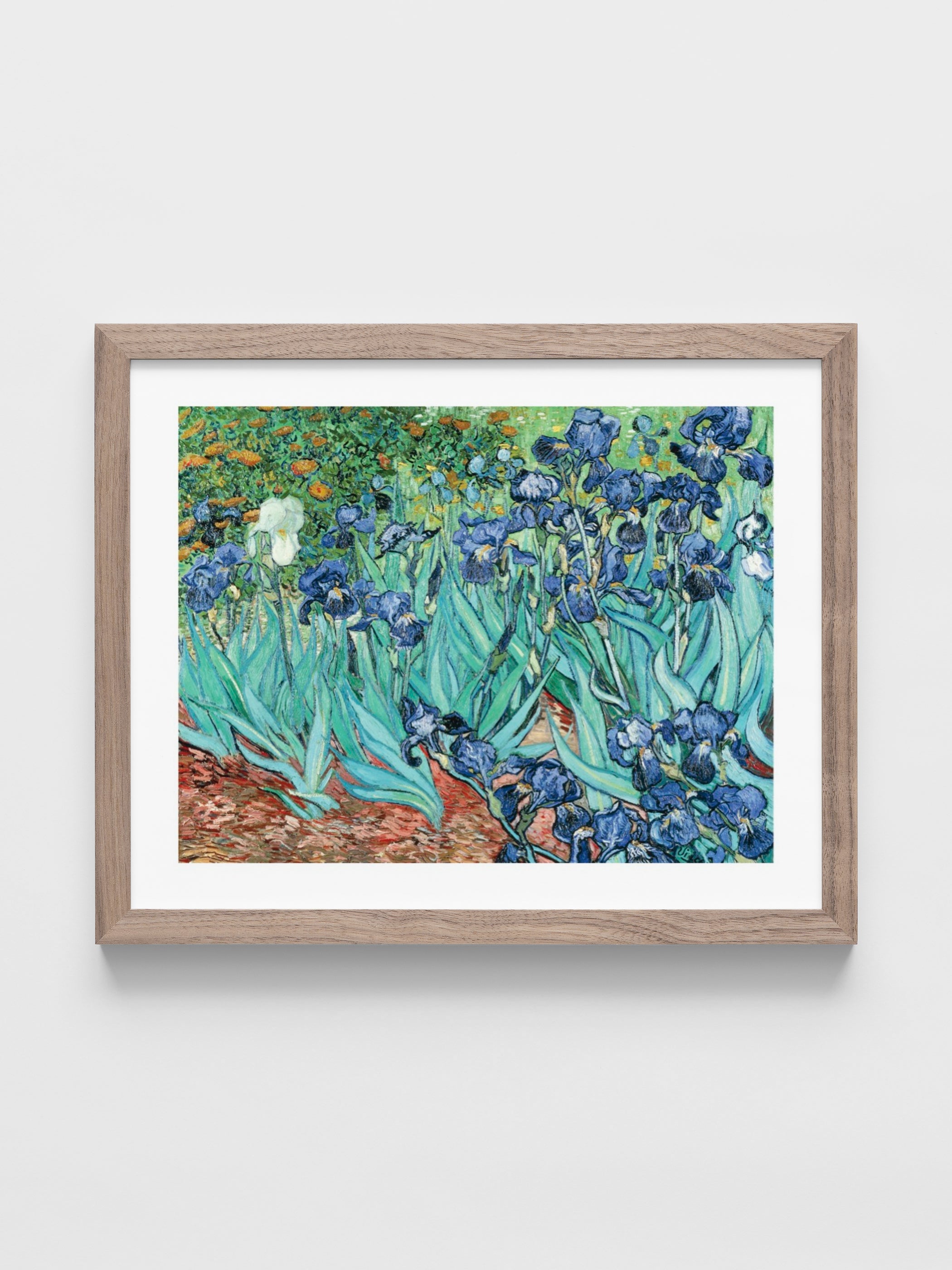 Vincent Van Gogh - Irises