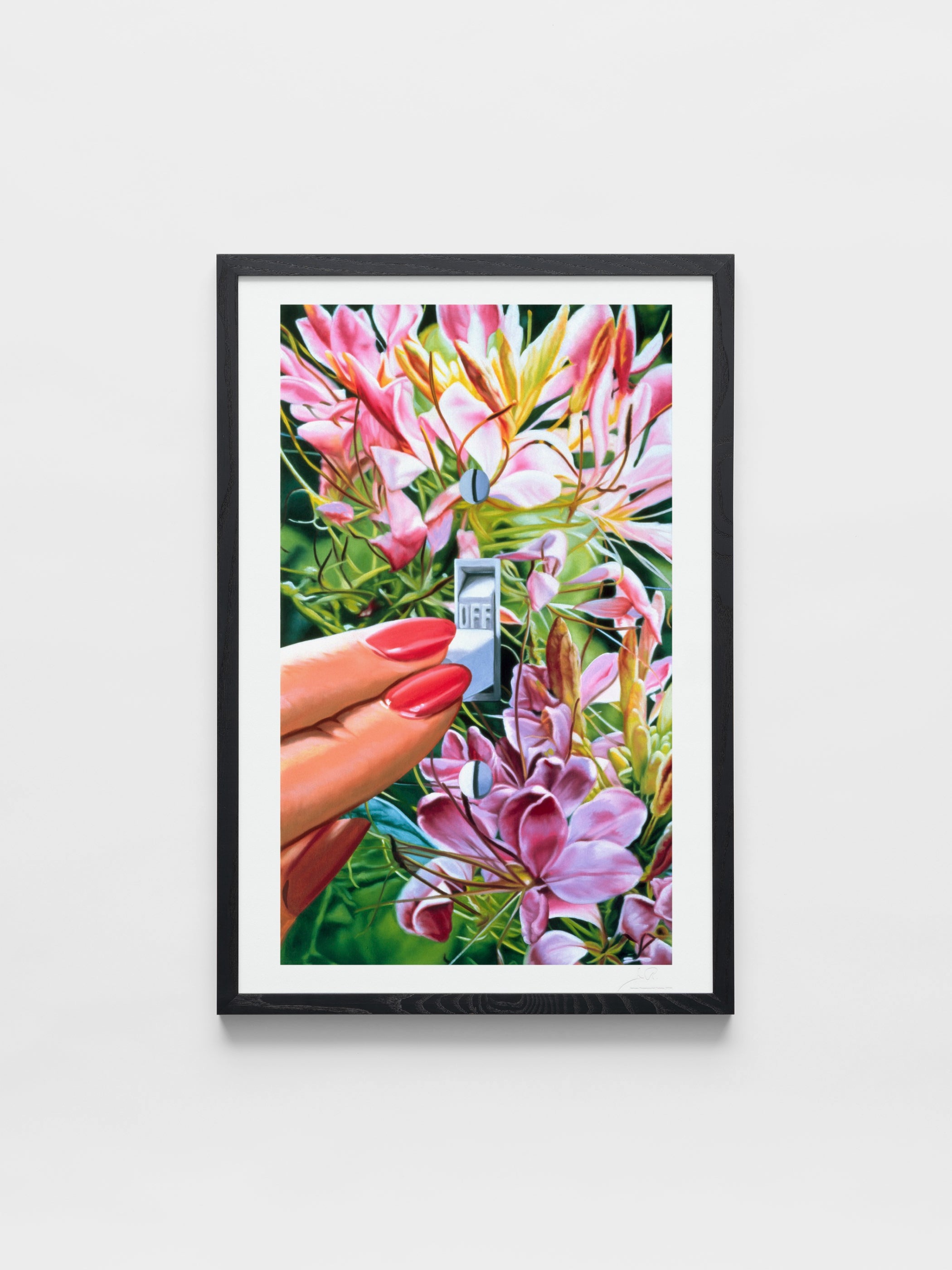 James Rosenquist Estate - Select an Environment II