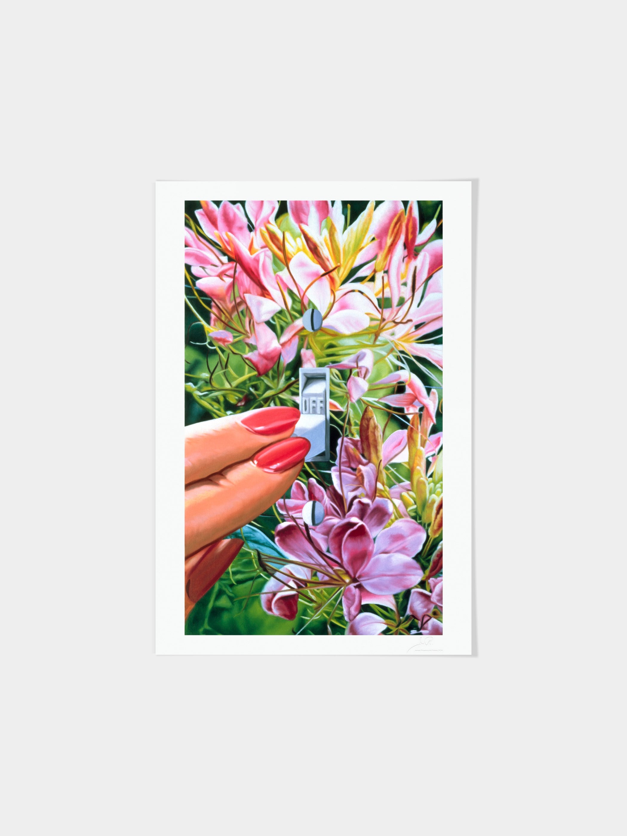 James Rosenquist Estate - Select an Environment II